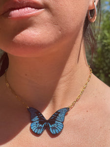 Morpho Menelaus - Stainless Steel Chain Necklace