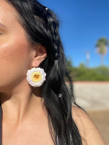 Saguaro Blossom